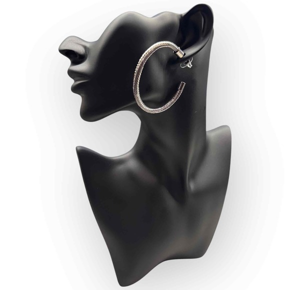 NWT Hoop Earrings from Express. - Picture 1 of 5
